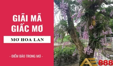 Mơ thấy hoa lan đánh con gì