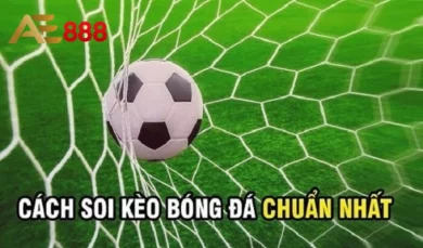 Soi kèo bóng đá - Những lưu ý khi soi kèo dành cho người mới